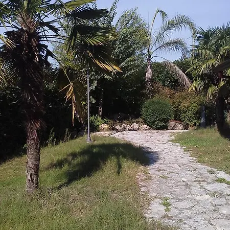 Maruzzella A Capodimonte Naples